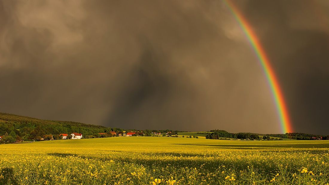 Sonnenuntergang über einem Feld