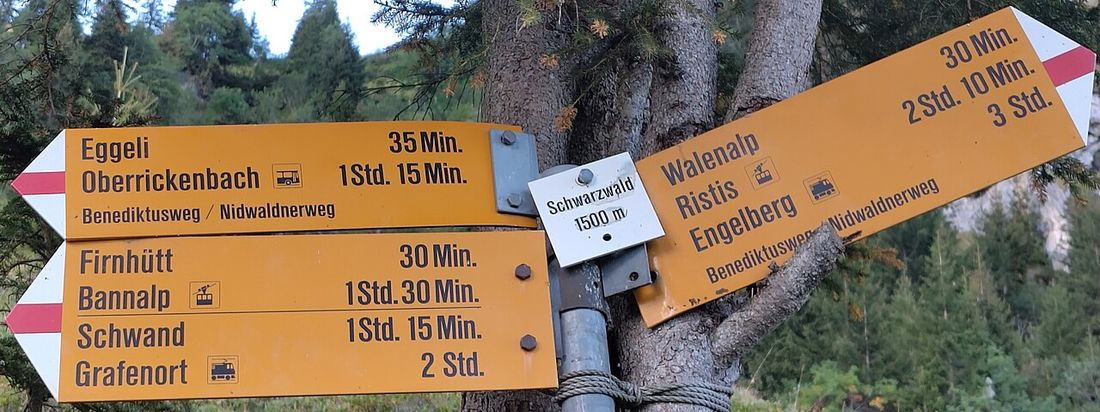 Ein Wegweiser im Schwarzwald