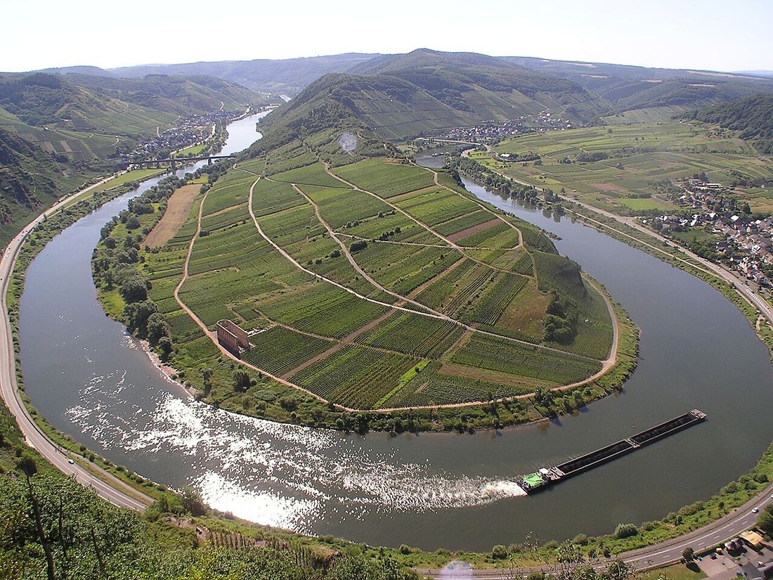 Weinberge an der Mosel